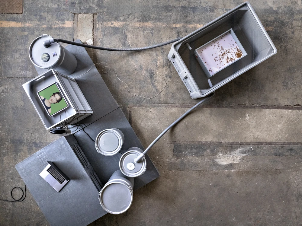 Der Inkubator beheimatet Mehlwürmer. Er wurde entwickelt von der Künstlerin Yana Zschiedrich in Zusammenarbeit mit Alexander Skowronski.